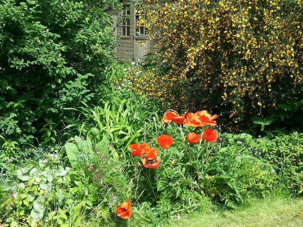 Field View B&B Eastrington Eksteriør bilde